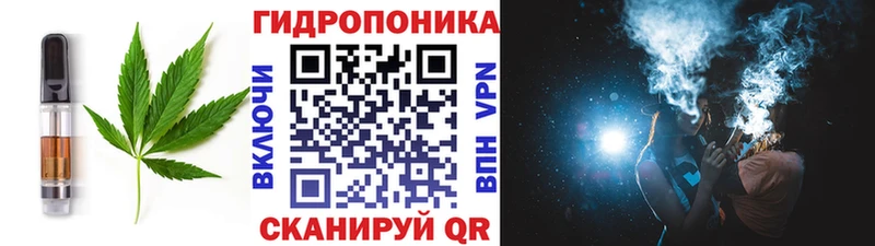 Canna-Cookies конопля  ОМГ ОМГ как зайти  Моздок  даркнет сайт 