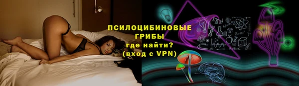 МДПВ Алексин