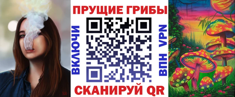Галлюциногенные грибы Magic Shrooms  купить   Моздок 